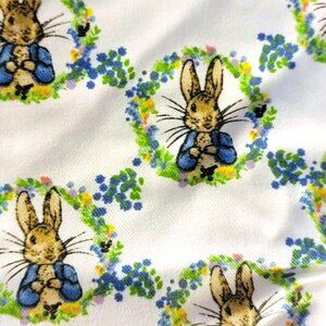 Peter Rabbit Easter Oven Mitt + Hot Pad 2-Pc Set Blue Flowers Beatrix Potter NWT